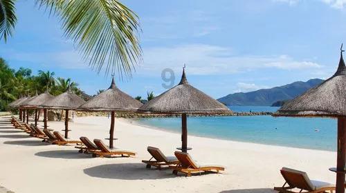 2023年国内旅游人数预计将超54亿人 恢复至2019年九成